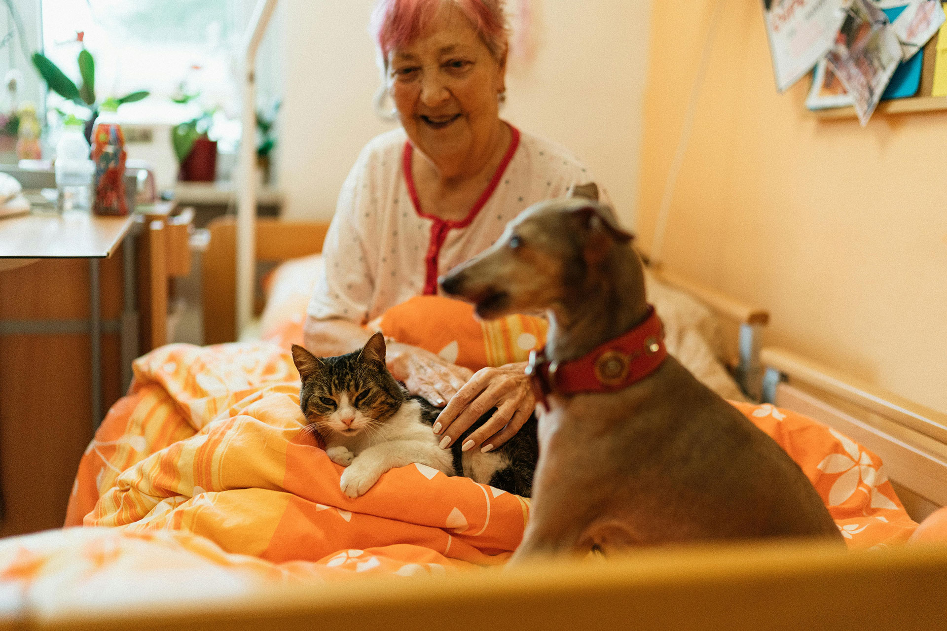 Woman sits in bed with a cat and dog, smiling.